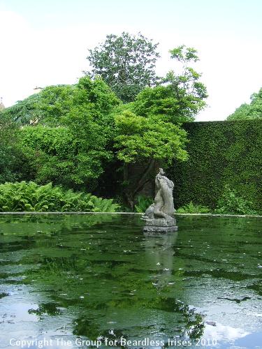 hidcote (24)
